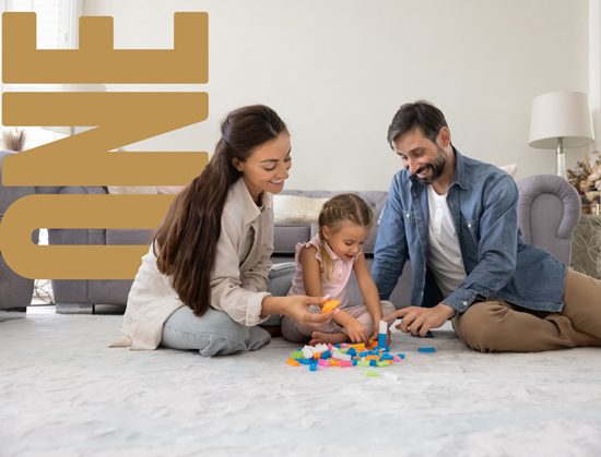 Family building with blocks and the word ONE in the background