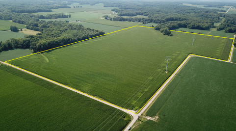 Ag Auction Blog Article Image