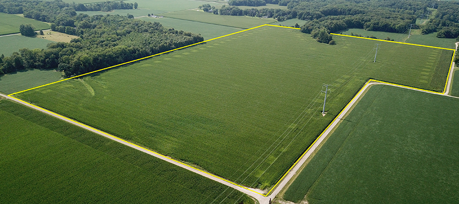 Ag Auction Blog Article Image