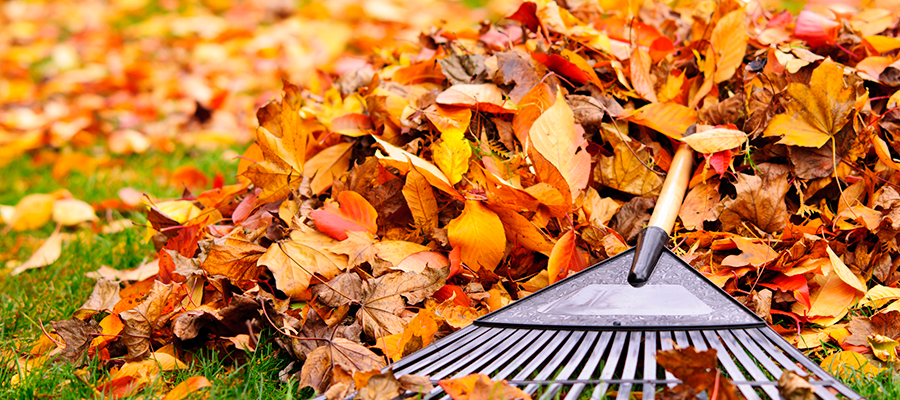 Fall Home Maintenance Checklist